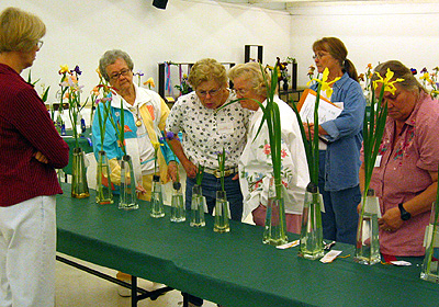Show judging
